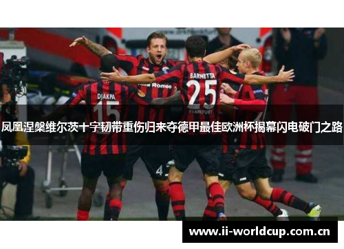 凤凰涅槃维尔茨十字韧带重伤归来夺德甲最佳欧洲杯揭幕闪电破门之路 凤凰涅槃维尔茨十字韧带重伤归来夺德甲最佳欧洲杯揭幕闪电破门之路